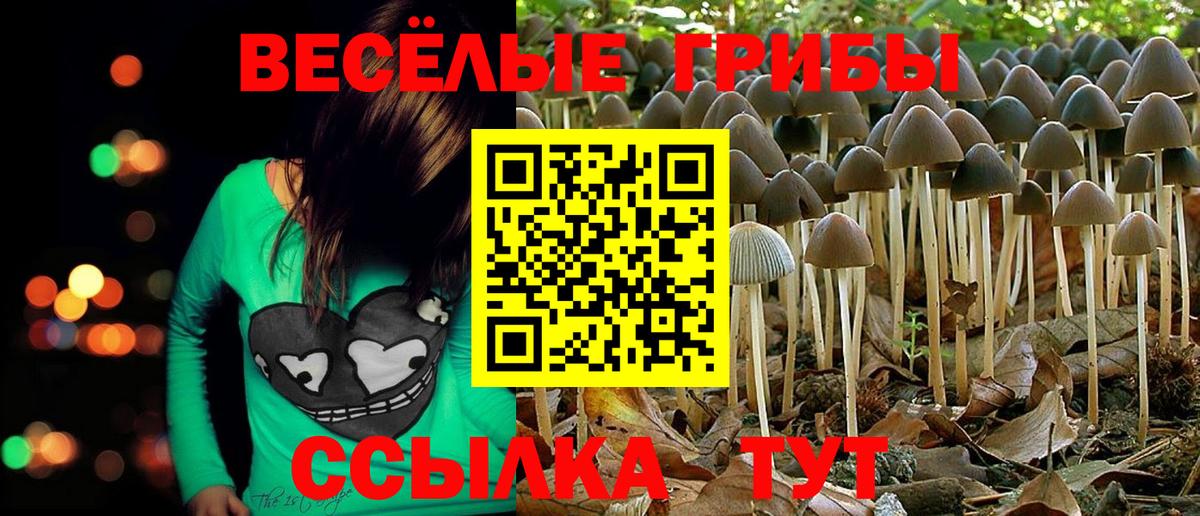 Псилоцибиновые грибы Cubensis Удомля