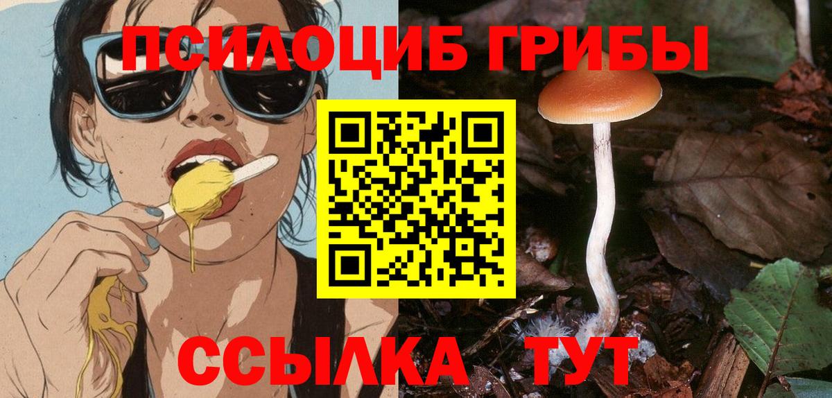 Галлюциногенные грибы Psilocybine cubensis  Галлюциногенные грибы Psilocybine cubensis  Вход с VPN  Удомля 